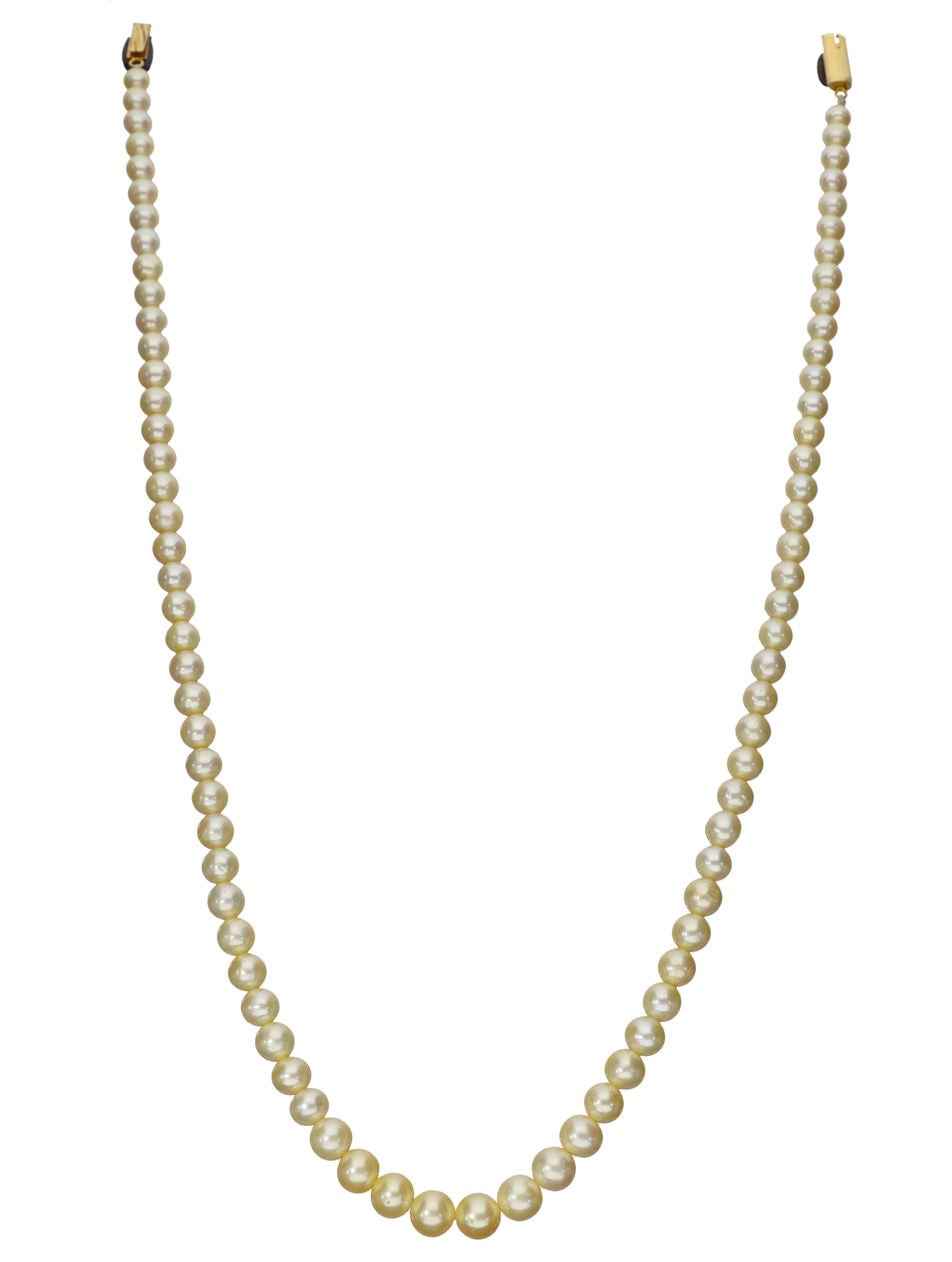 Creme Single Line Pearl Necklace