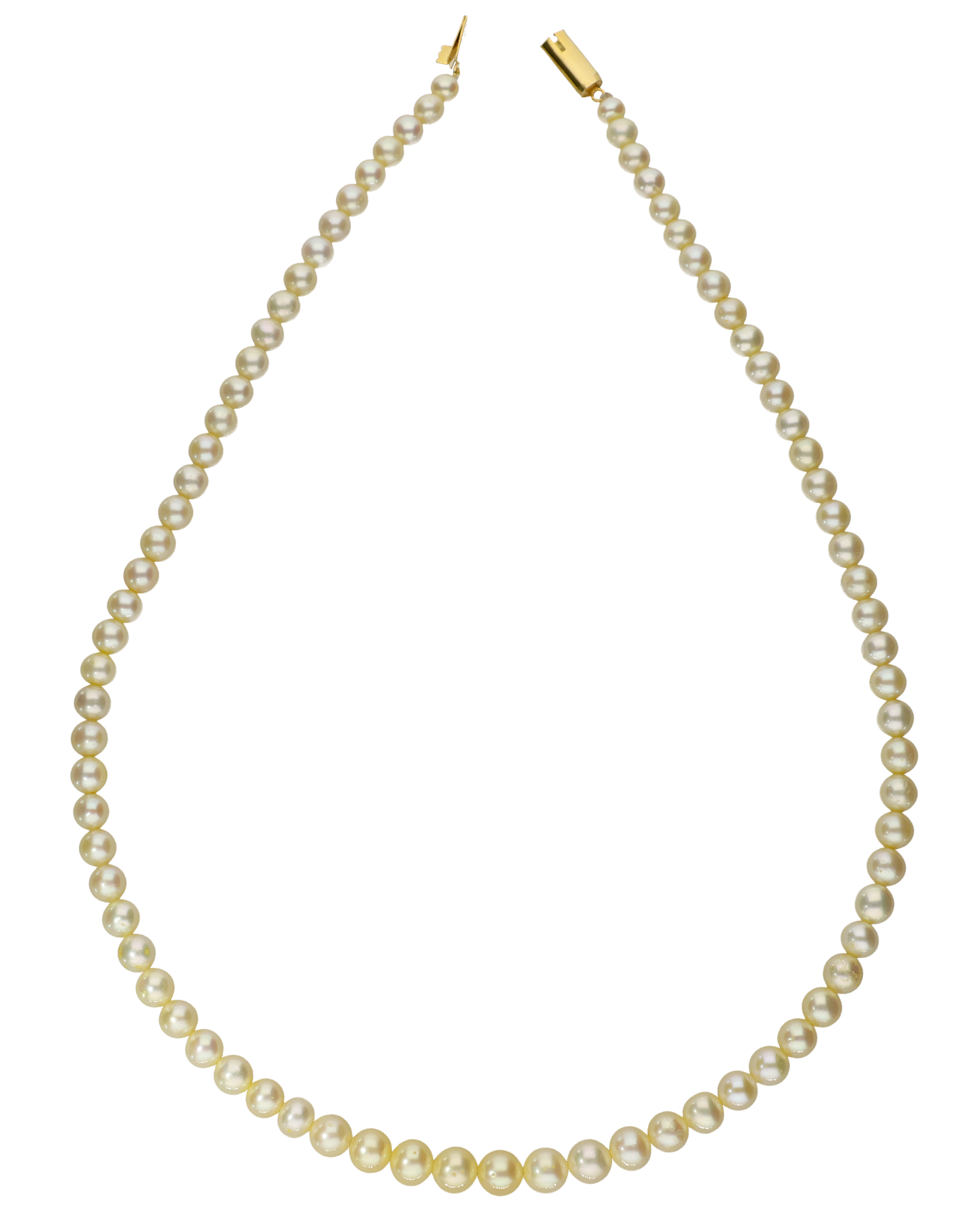 Creme Single Line Pearl Necklace