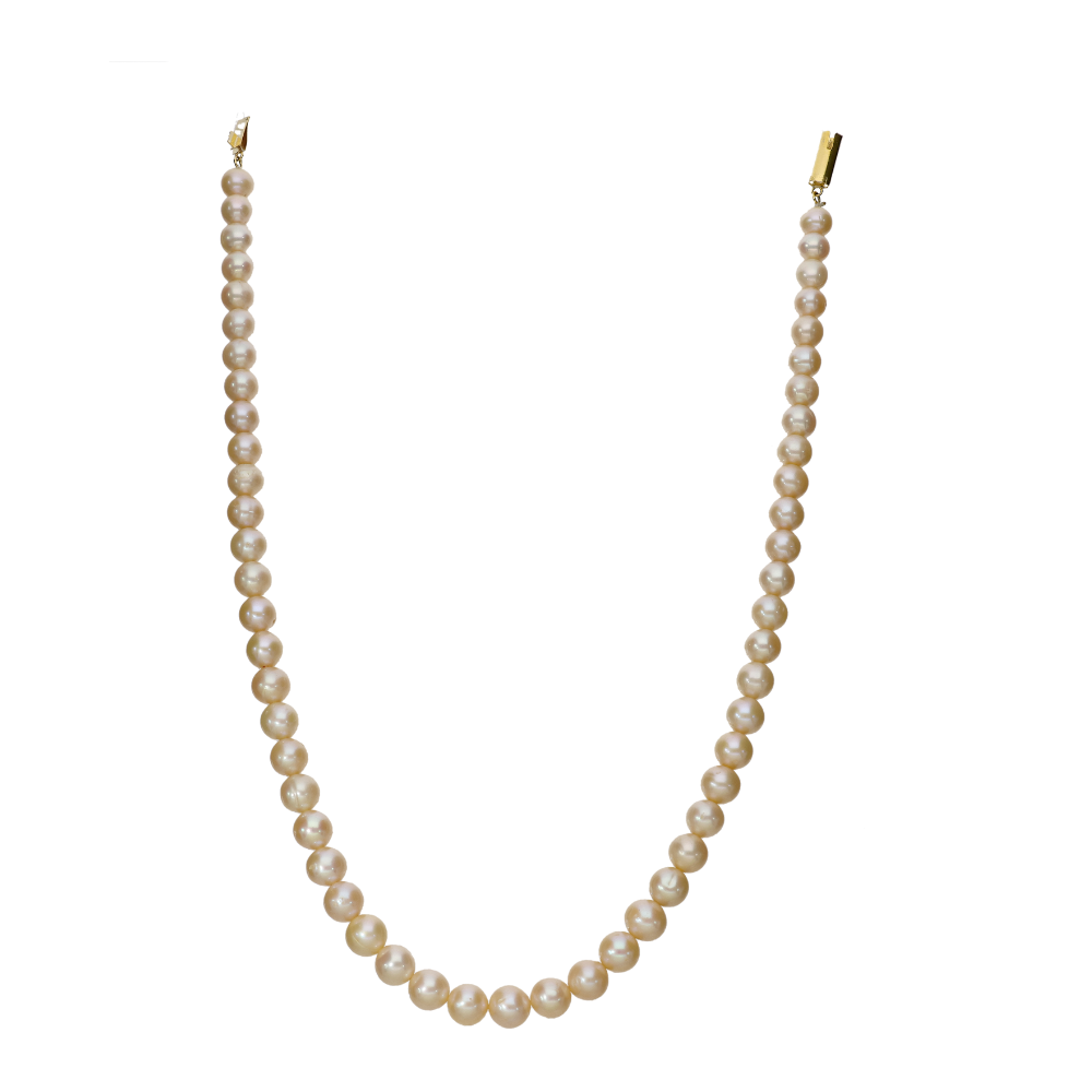 Classic Cream Radiance Set