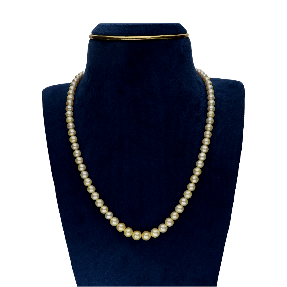 Creme Single Line Pearl Necklace