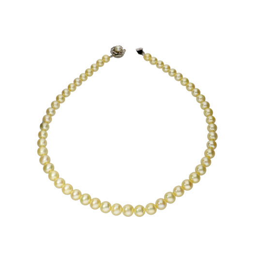 Lotus Shine Fresh Water Pearl Set