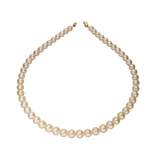 Classic Cream Radiance Set