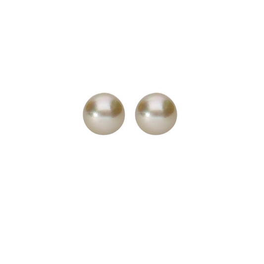 Stylish Champagne South-Sea Studs