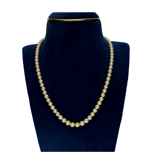 Creme Single Line Pearl Necklace
