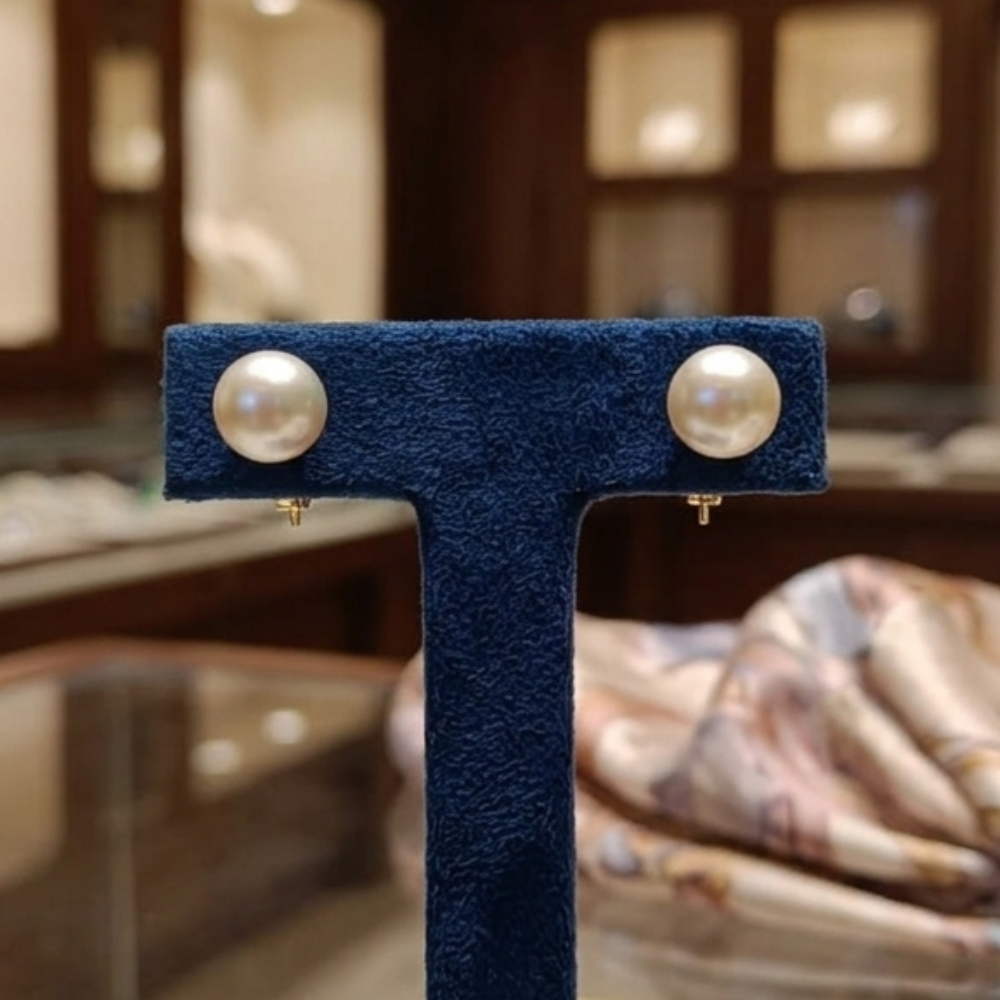 Beautiful South Sea Ear Studs For Women