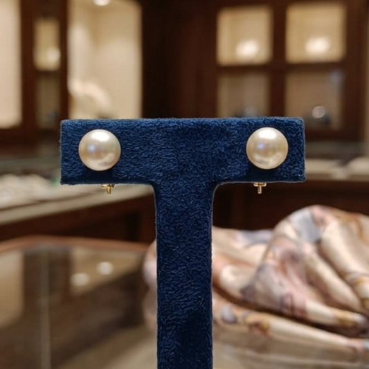 Beautiful South Sea Ear Studs For Women